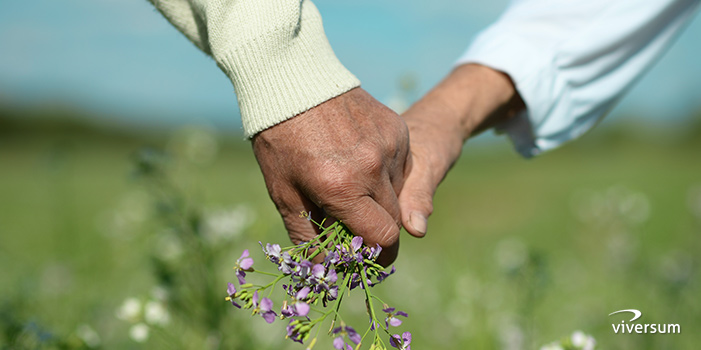 Neue Liebe im Alter - Für Liebe ist es nie zu spät!